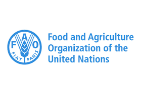 The Food and Agriculture Organization (FAO)
